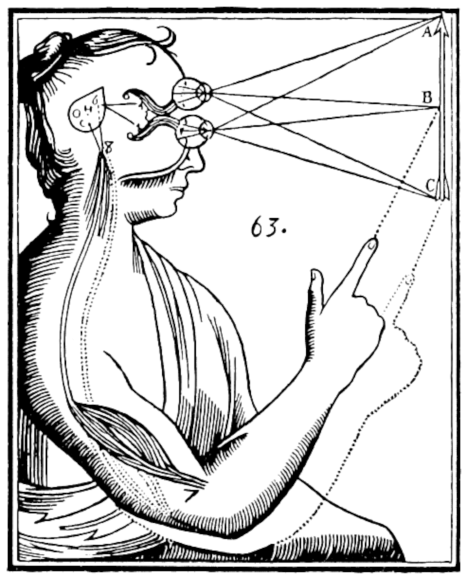 Conceptual representation of Descartes' mind-body dualism